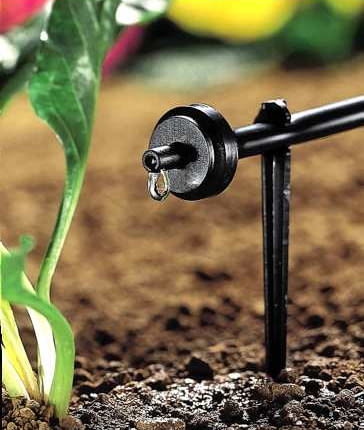 Woda powoli kapiąca z kroplowników dokładnie zwilża każdą grudkę ziemi.