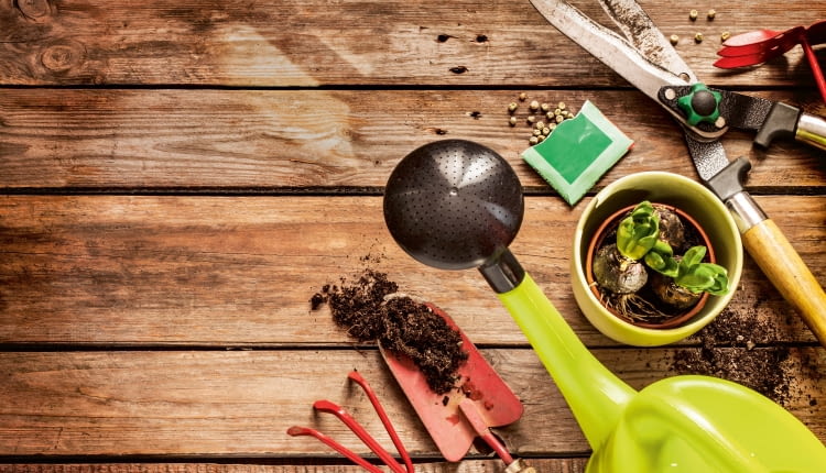 Narzędzia dla ogrodnika