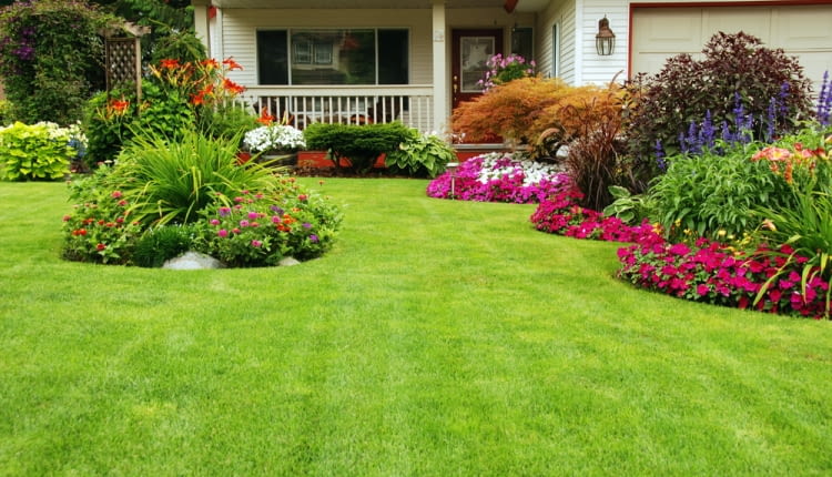 Jak stworzyć ogród prosty w utrzymaniu?