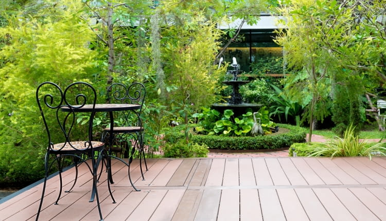 Drzewa do donic na taras