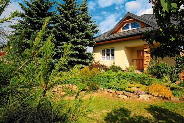 Okruchy skał i niektóre rośliny to sentymentalne pamiątki przywiezione z gór.