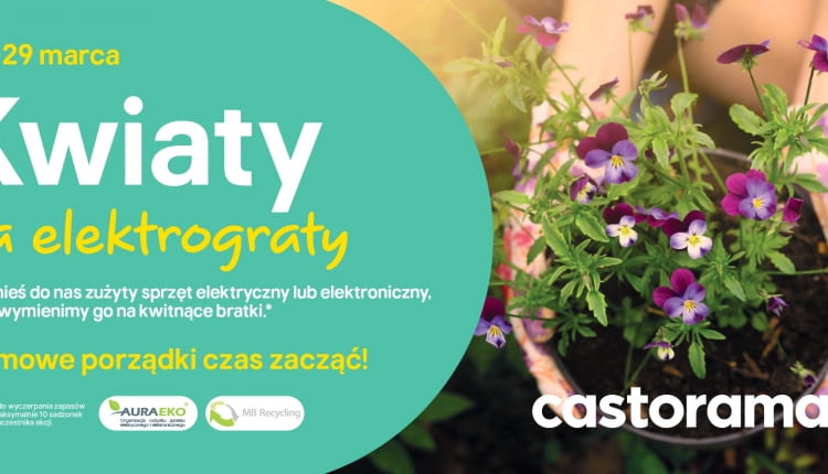Kwiaty za Elektrograty 2025