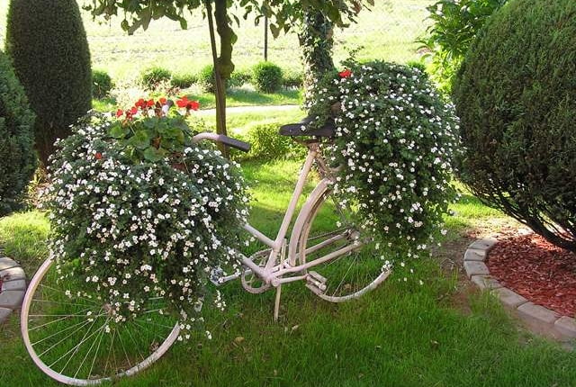 Prace konkursowe - rower w ogrodzie