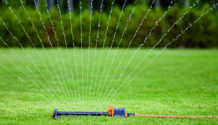 Zraszacz oszczędzający wodę