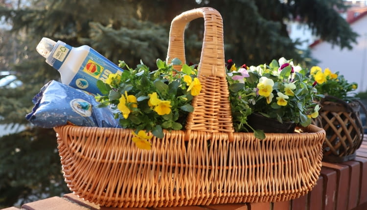 COMPO BIO AQUA DEPOT – rewolucja w gospodarowaniu wodą w uprawie roślin