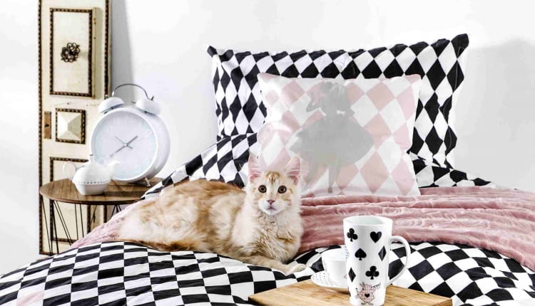 Disney i home&you stworzyli nową kolekcję. Towarzyszą jej liczne atrakcje