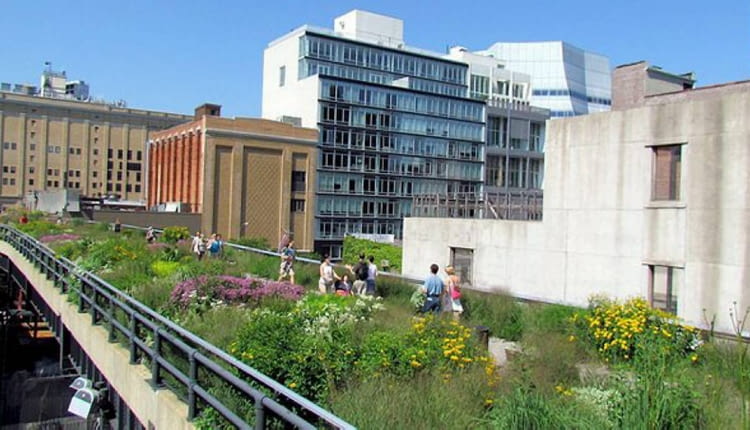 Park miejski na wiadukcie kolejki. High Line Park na Manhattanie