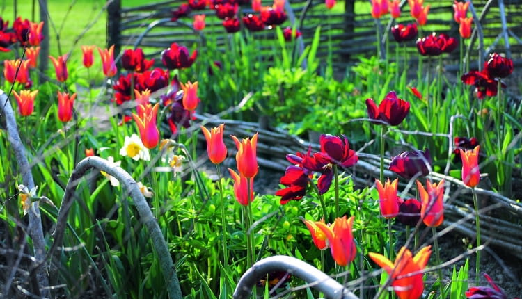 Fot.: Katarzyna Bellingham