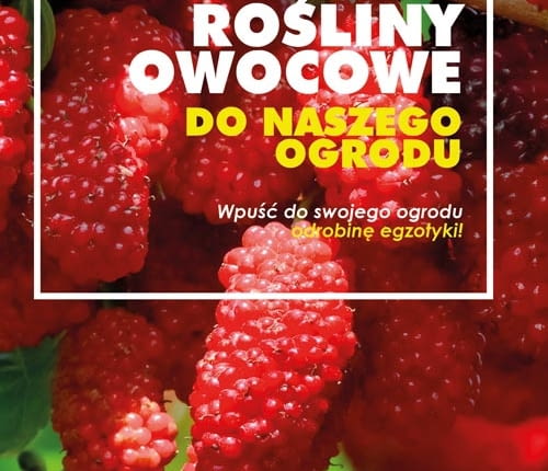 Egzotyczne rośliny owocowe do naszego ogrodu