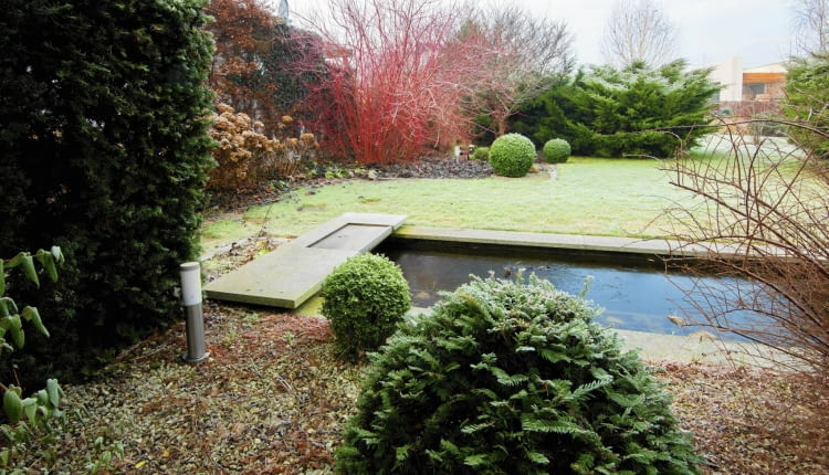 Zimą czytelny staje się układ przestrzenny ogrodu - można podziwiać strukturę drzew i krzewów.