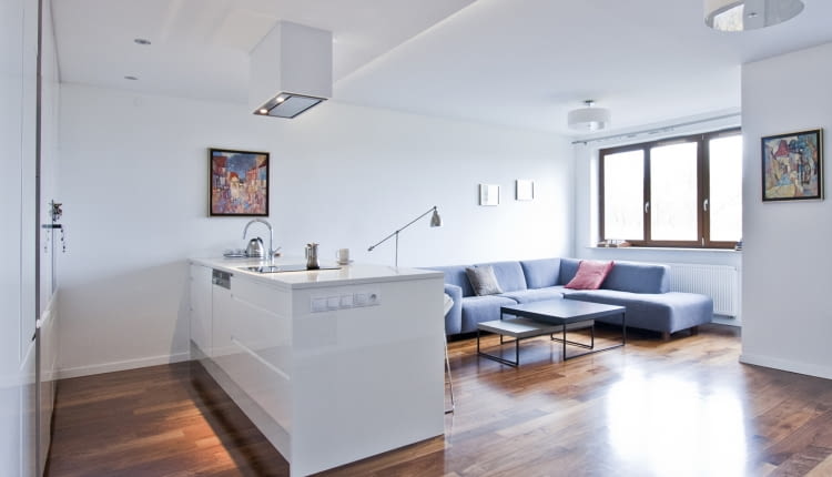 Nowoczesny minimalizm. Przestronne mieszkanie dla singielki