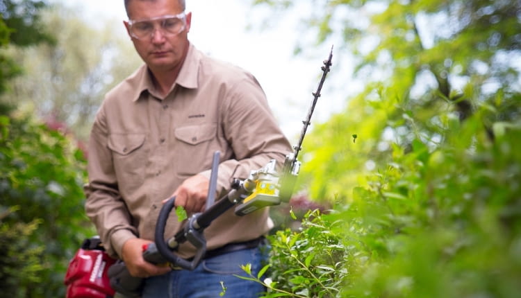 Przycinanie żywopłotu