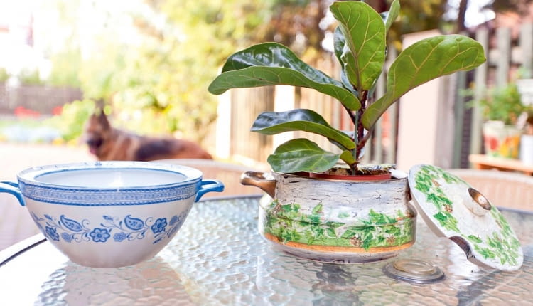 DONICZKA ZE STAREJ WAZY, którą ozdobiłam techniką decoupage'u. Pokrywka wprawdzie nie jest już potrzebna, ale służy za dodatkową ozdobę.