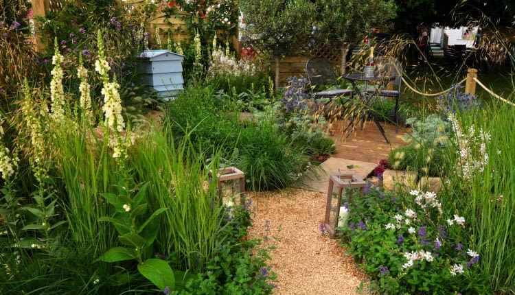 Ogród miłośnika ekologii to miejsce dla ludzi, roślin i pszczół.