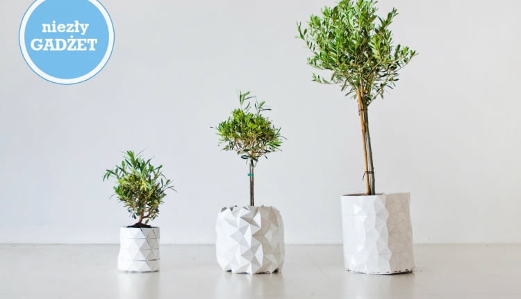 growth, doniczka, doniczka która rośnie z rośliną, doniczka origami