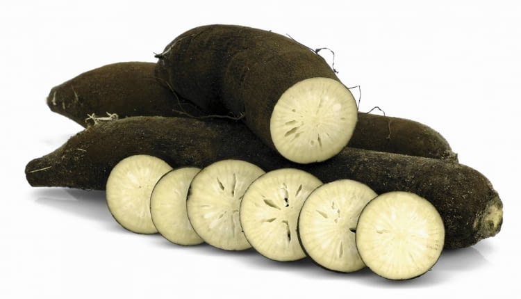 ODMIANA 'GROS LONG D'HIVER DE PARIS'