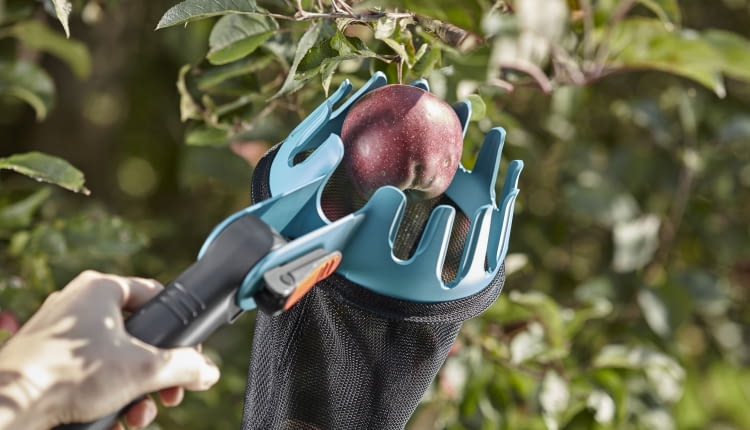 Zrywaczka do wococów