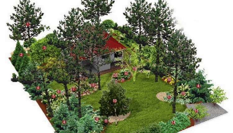 PLAN NASADZEŃ 1. sosna pospolita 2.żywotnik olbrzymi 3.magnolia 'Alexandrina' 4.choina kanadyjska 5.kalina koralowa 6.hortensja kosmata 7.różanecznik 8.hosta Siebolda 9. dereń biały 'Elegantissima' 10.brzoza pożyteczna 'Doorenbos' 11.laurowiśnia wschodnia 12.hortensja bukietowa 'Kyushu' 13.ostrokrzew kolczasty 14.dereń biały 'Sibirica' 15.żywotnikowiec japoński 16.choina 'Jeddeloh' 17.trzmielina Fortune'a 'Emerald Gaiety' 18.tawuła japońska 'Goldmound' 19.czeremcha pospolita 20.różanecznik 21.runianka japońska 22.hortensja bukietowa 'Grandiflora'
