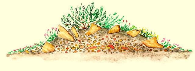 SKALNIAK, ogródek skalny