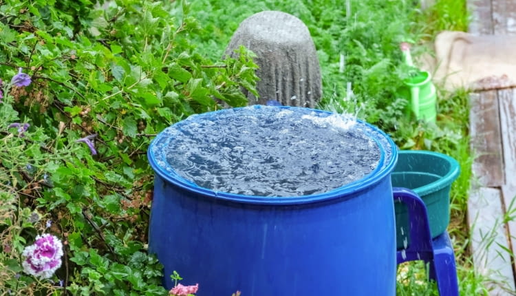 Deszczówka nie tylko do podlewania ogrodu.