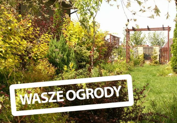 Ogród Pani Agnieszki