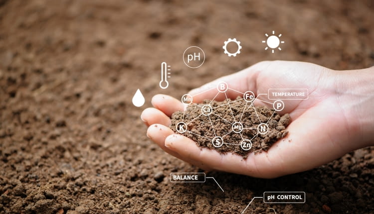 Zakwaszacze do ziemi