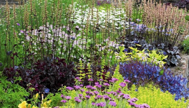 Kolorowa rabata w lekkim cieniu