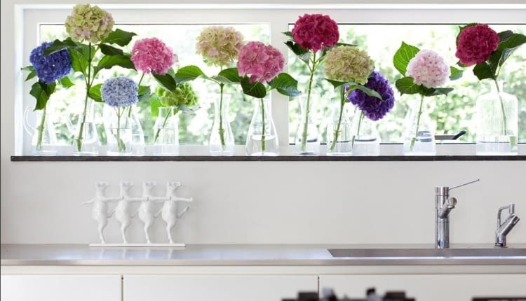 kwiaty, aranżacje kwiatowe