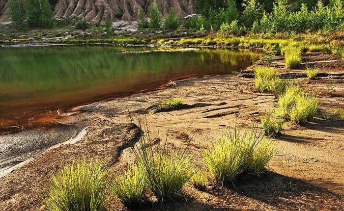 Malownicze jeziorka w parku "Łuk Mużakowa"
