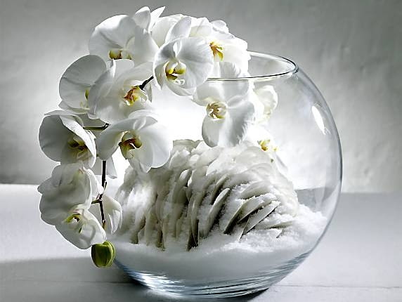 25.02.2009 WARSZAWA SESJA ZIMA 2009