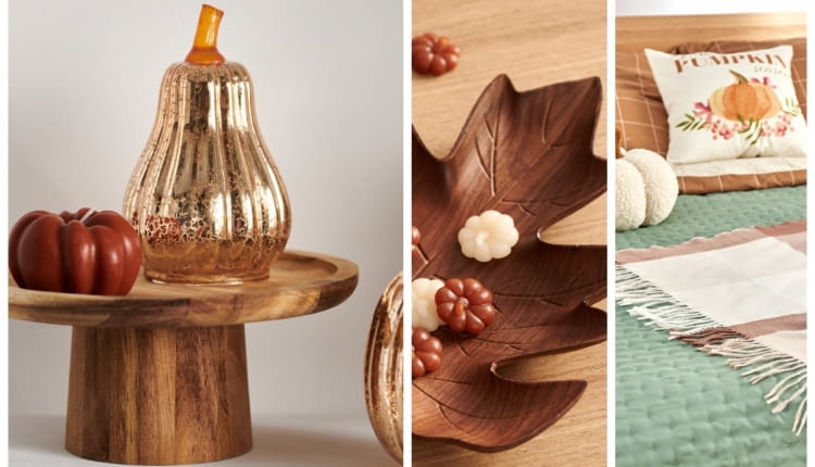 Dekoracje na jesień od Sinsay