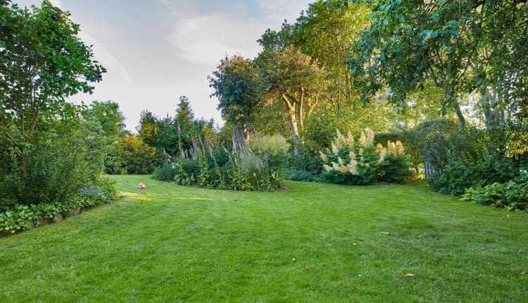 Jak urządzić ogród, aby służył przez cały rok?