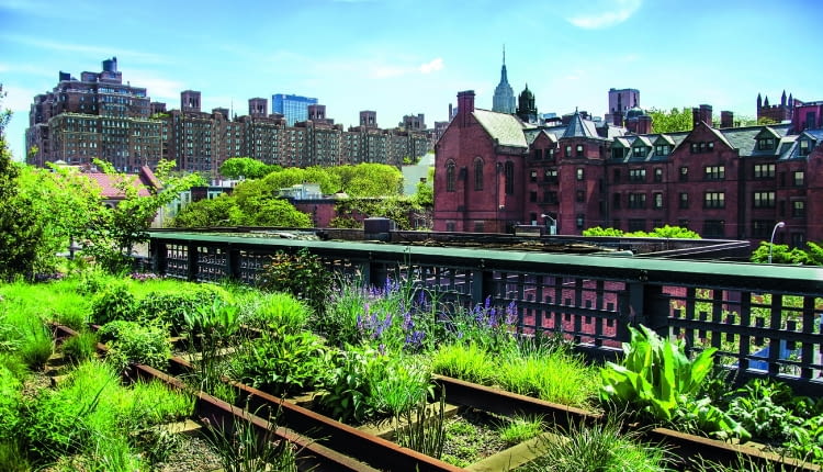 Nieczynne tory stały się rabatami pełnymi bylin i niskich traw tworzących naturalistyczne kompozycje.