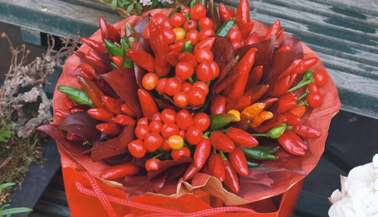 bukiety, Rzym, OLYMPUS DIGITAL CAMERA