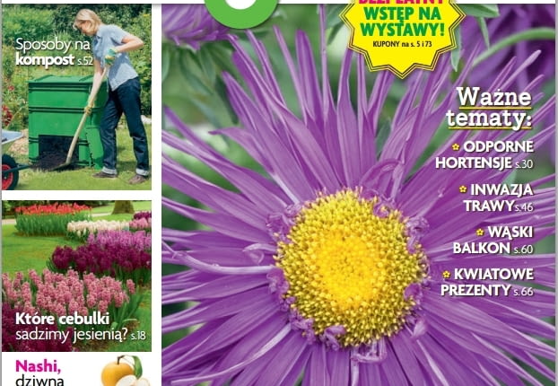 Magazyn Magnolia 9/2016