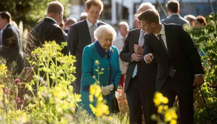 Chelsea Flower Show 2015 / RHS Gardening