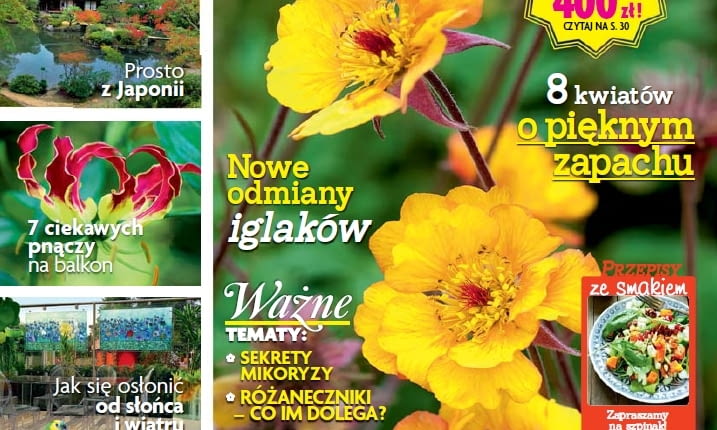 Magazyn Magnolia maj 2015