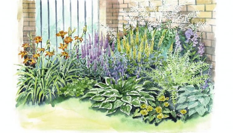 Rabata z kolorowymi kwiatami na zacienione miejsca