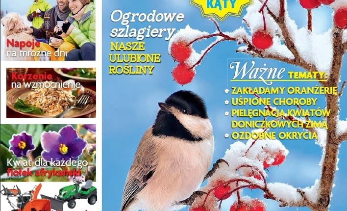 Magazyn Magnolia - 1/2015