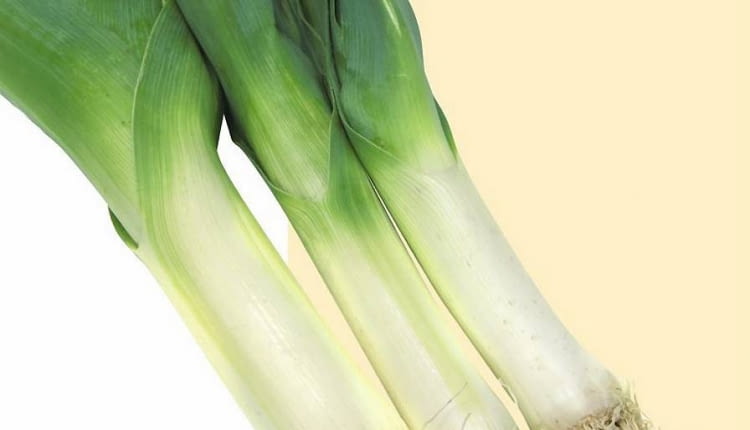 Pory można przechować do wiosny na zagonkach, ale trzeba je osłonić przed mrozem