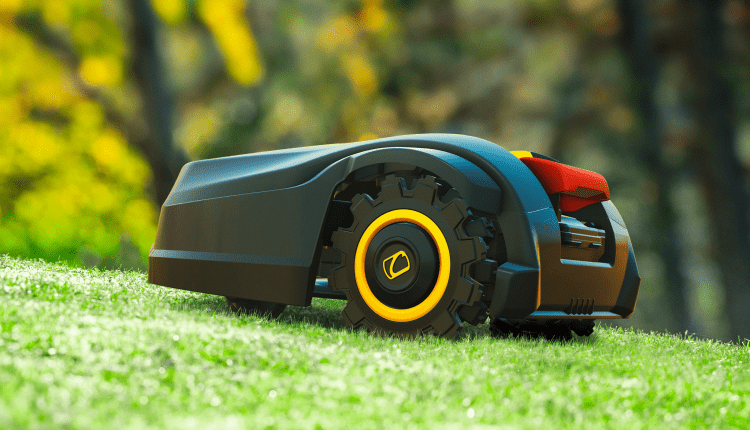 Jak cieszyć się pięknym trawnikiem