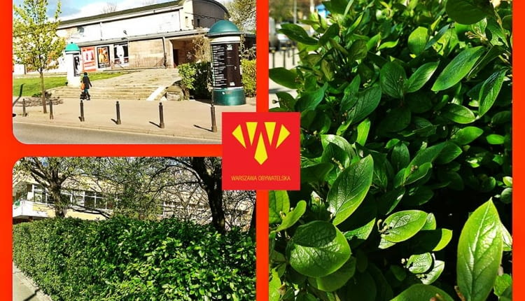 Żywopłoty zamiast słupków