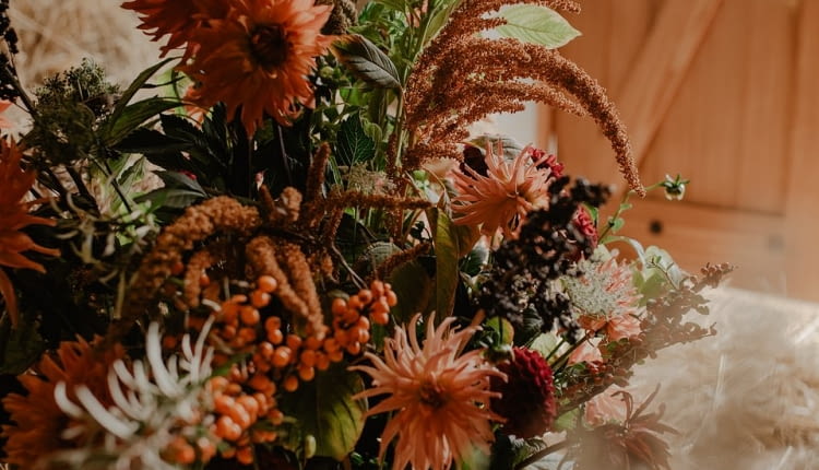 Kompozycja outdoorowa