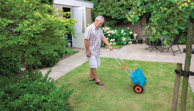 Semmick Photo shutterstock