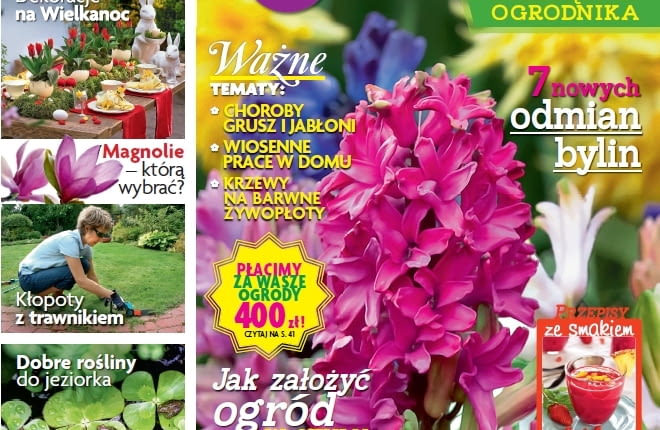 Magazyn Magnolia 2015