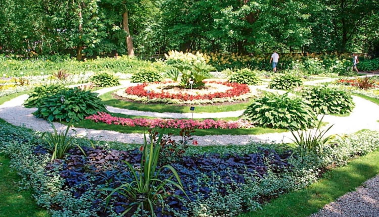 Ogród botaniczny Uniwersytetu Warszawskiego. Enklawa przyrody w centrum miasta z ok. 5 tys. odmian i gatunków drzew, krzewów oraz roślin zielnych. Niektóre, np. ogromny buk, zostały posadzone jeszcze przez założyciela ogrodu, Michała Szuberta. Symbolem tego mejsca jest liść rosnącego tu dorodnego miłorzębu dwuklapowego. Ogród czynny: IV-VIII w godz. 9-20 (sob., niedz. i święta 10-20); IX w godz. 10-18; X w godz. 10-17. Ceny biletów: ulgowy 5 zł, normalny 10 zł. Adres: Aleje Ujazdowskie 4, Warszawa