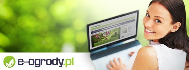 zapisz się na newsletter