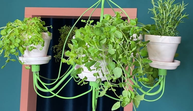 Kwietnik wiszący: projekt DIY. Jak samodzielnie zrobić kwietnik wiszący?