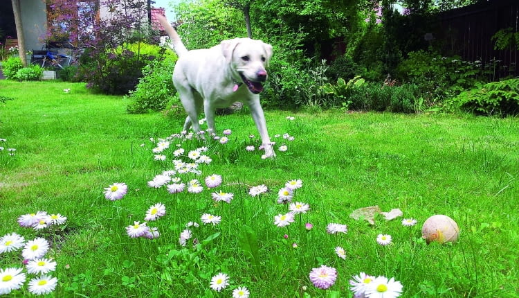 cI|U5>k{C-9-k{}S.d#y2|7wl!W7?qYWfcs(>C~FAz{N