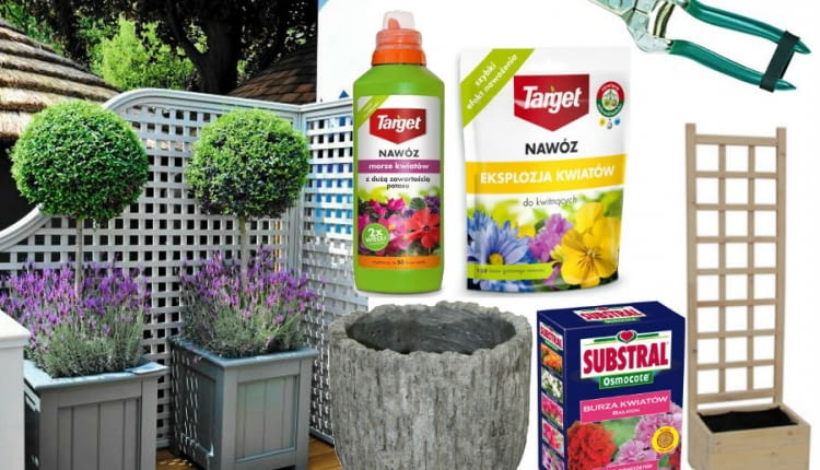 balkon, taras, donice, kwiaty, ogród